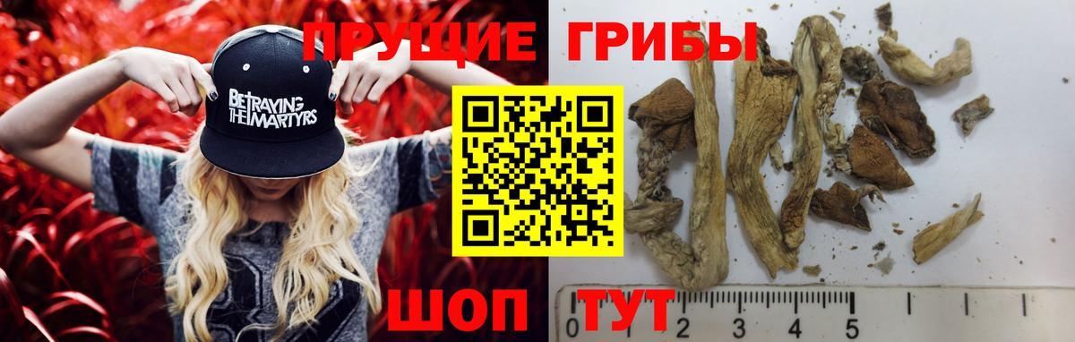 Галлюциногенные грибы мицелий Ангарск